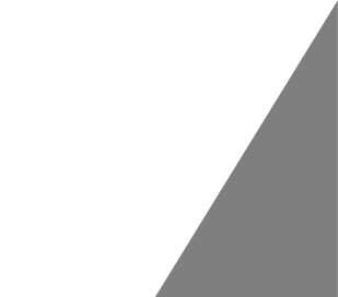 Focus Panel Image Overlay